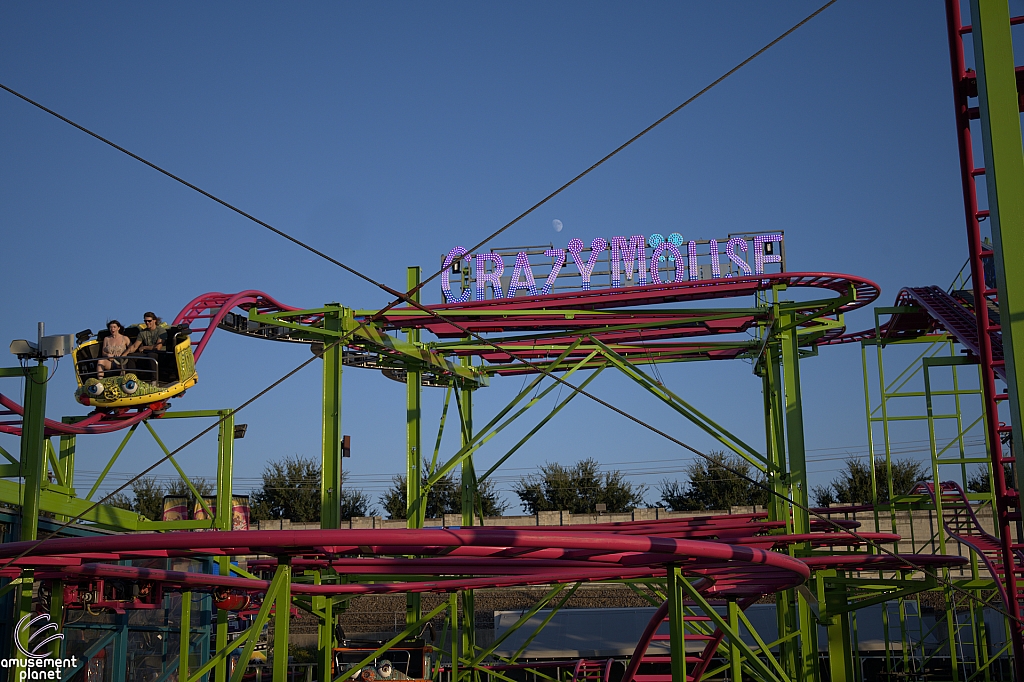 Crazy Mouse