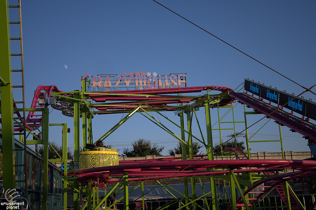 Crazy Mouse