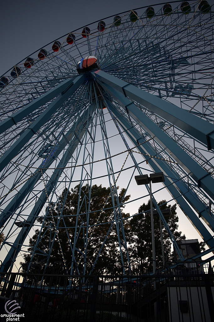 Texas Star