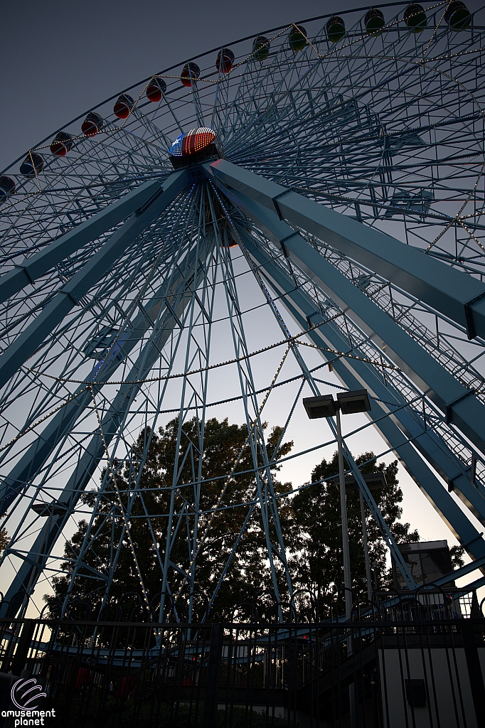 Texas Star