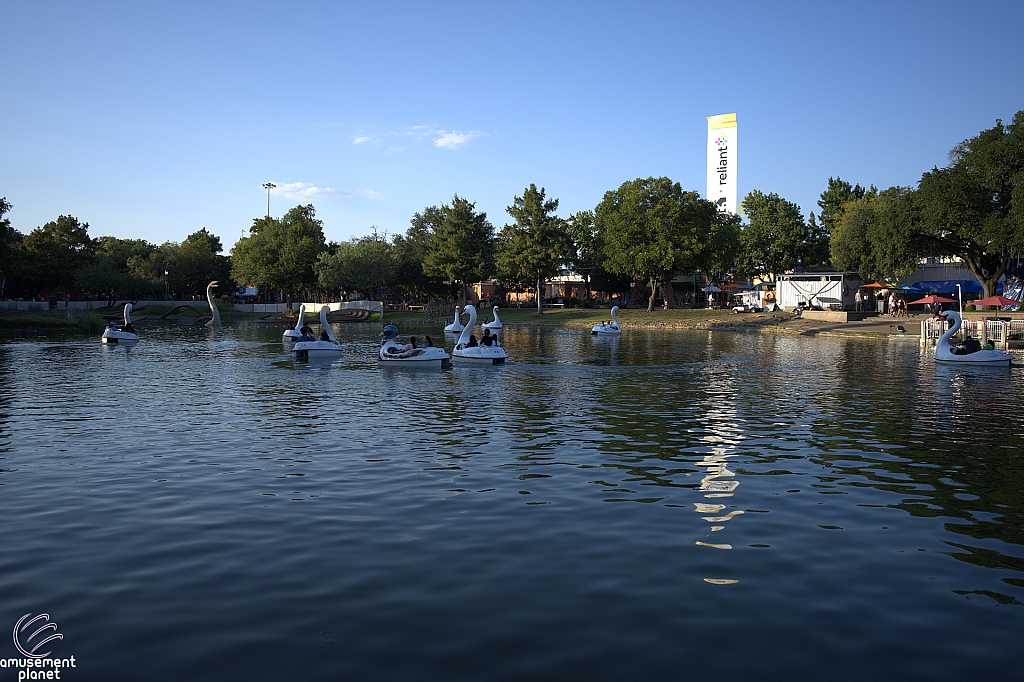 Swan Boats