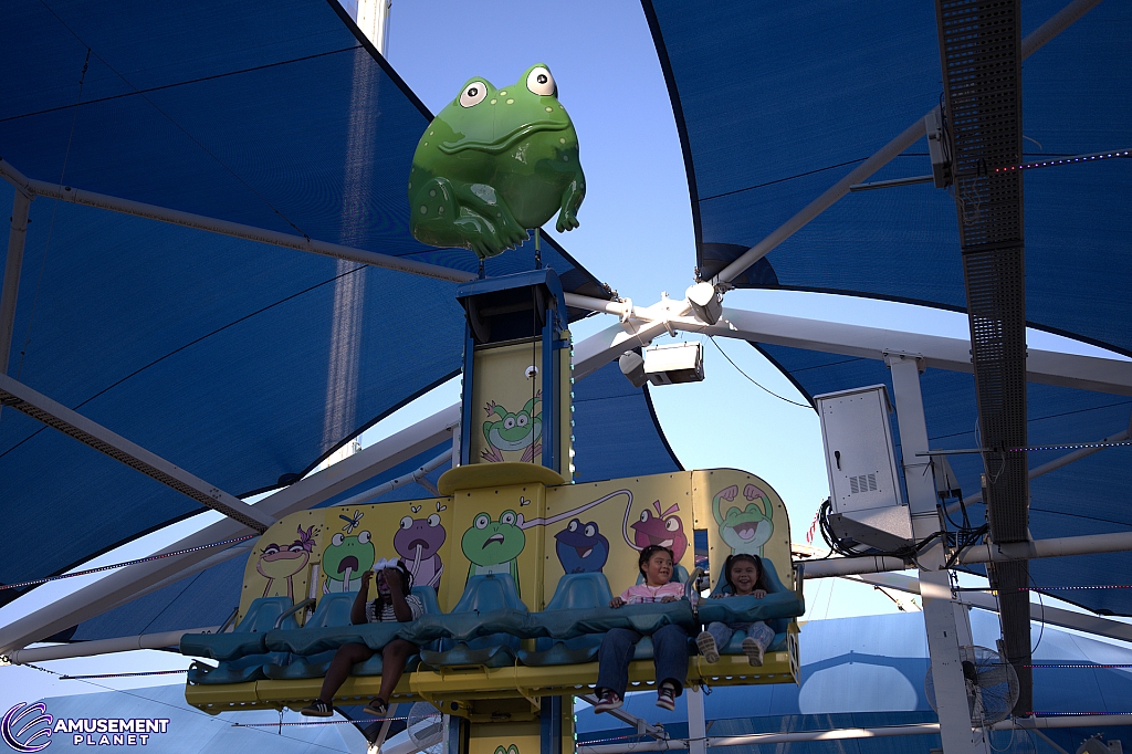 Frog Hopper