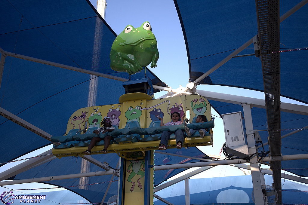 Frog Hopper
