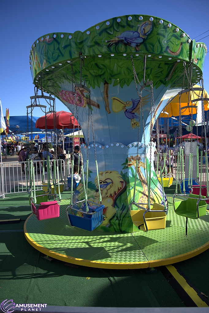Mini Swings