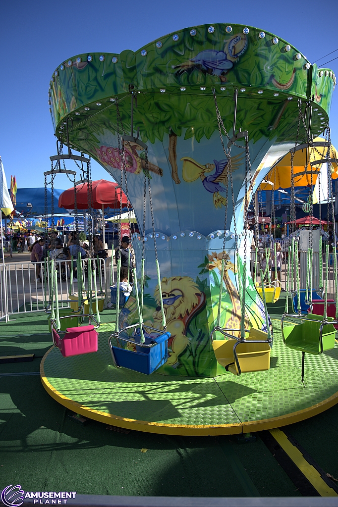 Mini Swings