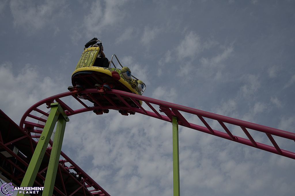 Crazy Mouse