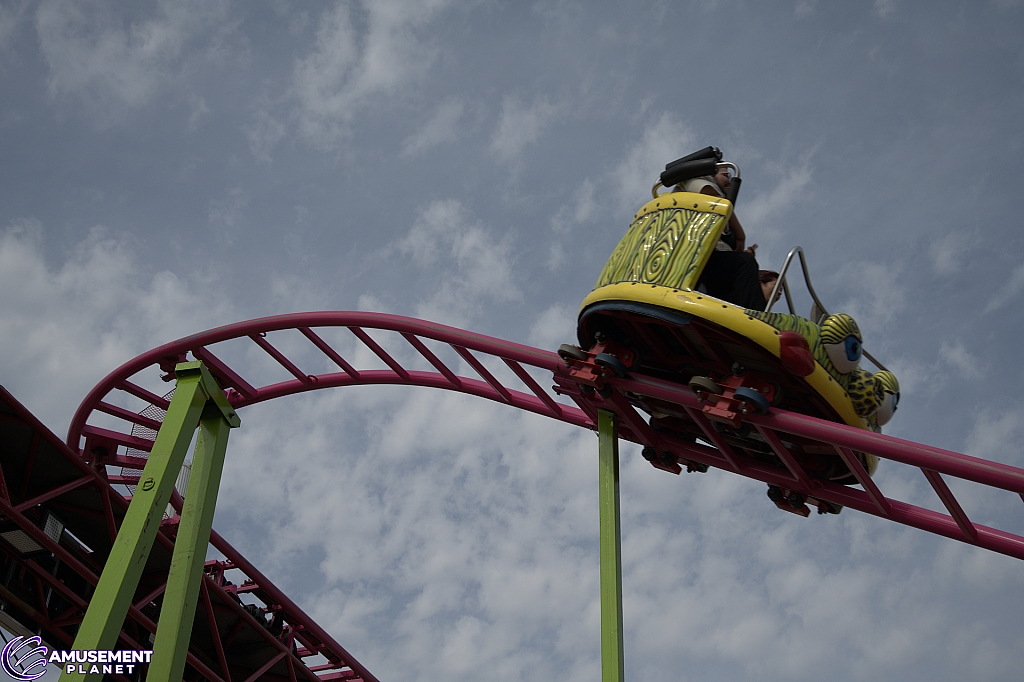 Crazy Mouse