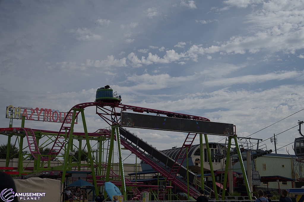 Crazy Mouse