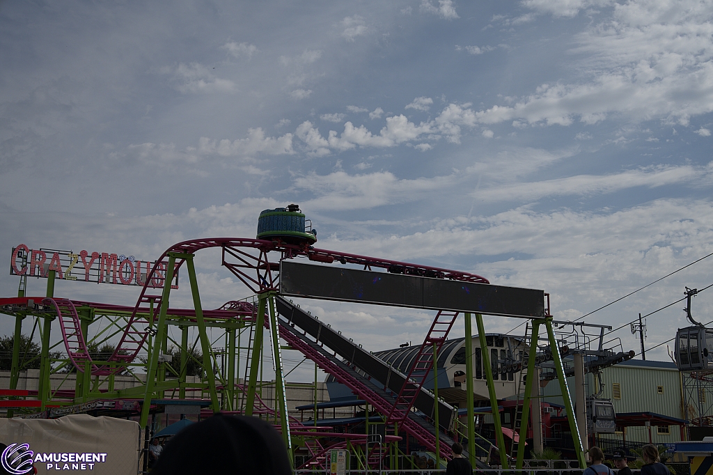 Crazy Mouse