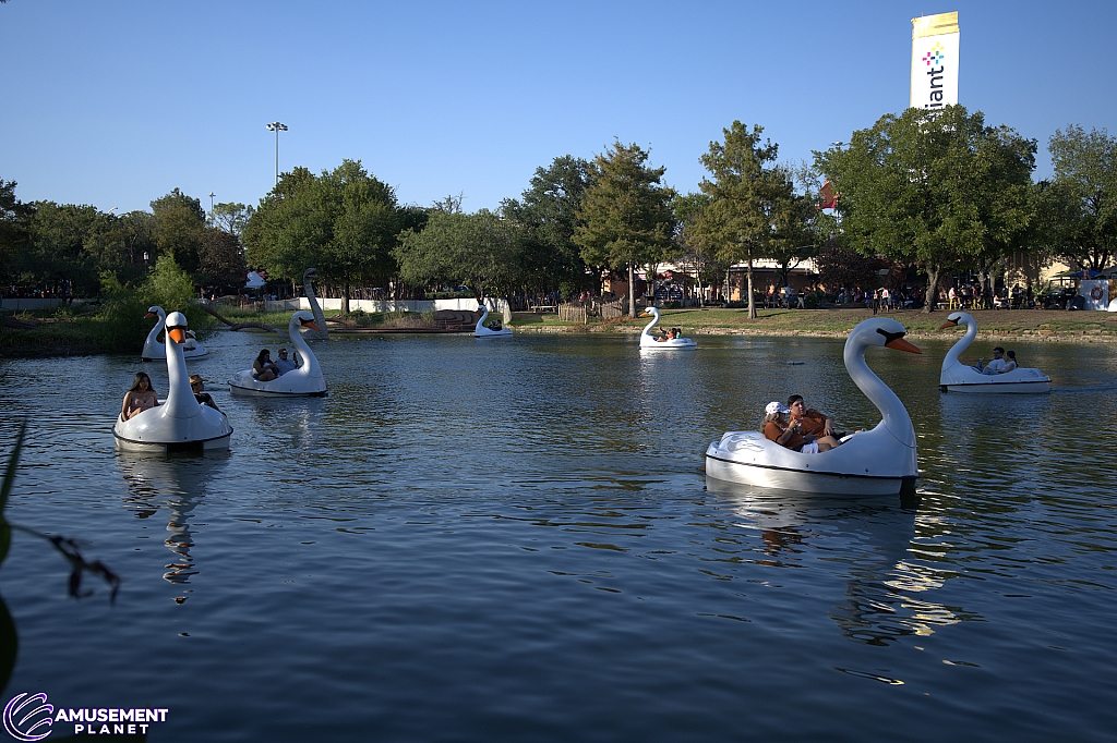 Swan Boats