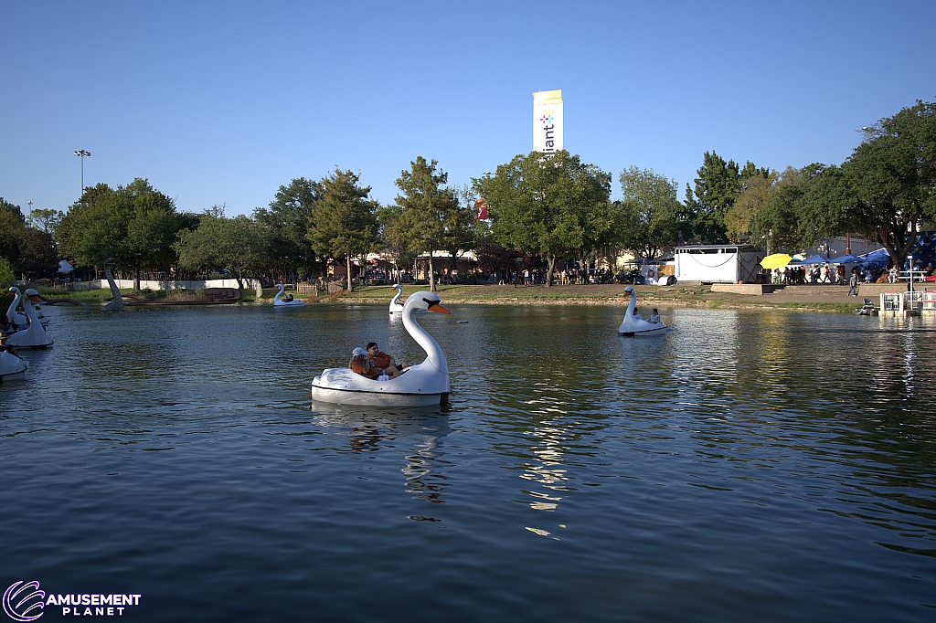 Swan Boats