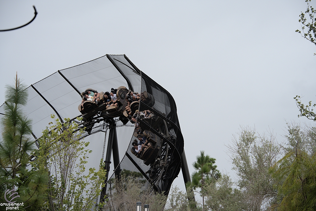 Curse of the Werewolf