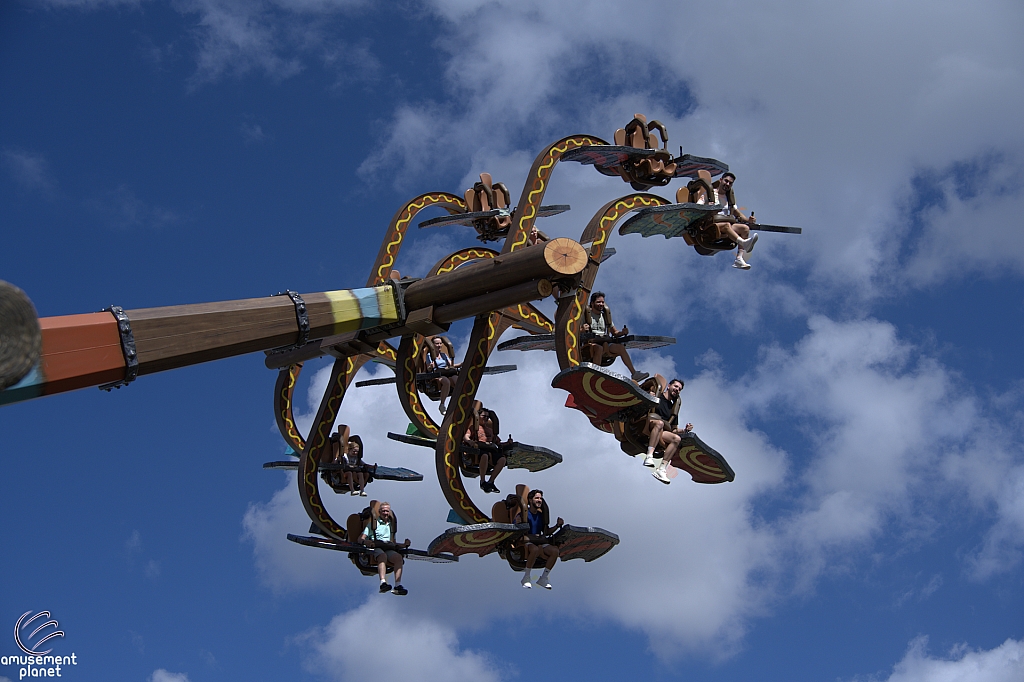 Dragon Racer's Rally