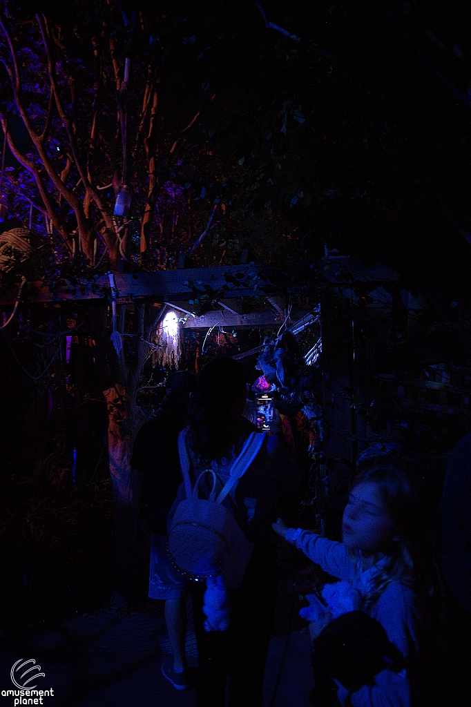 Halloween Horror Nights 2025