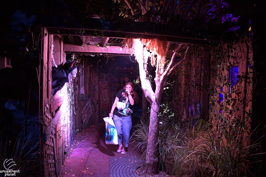 Halloween Horror Nights 2025