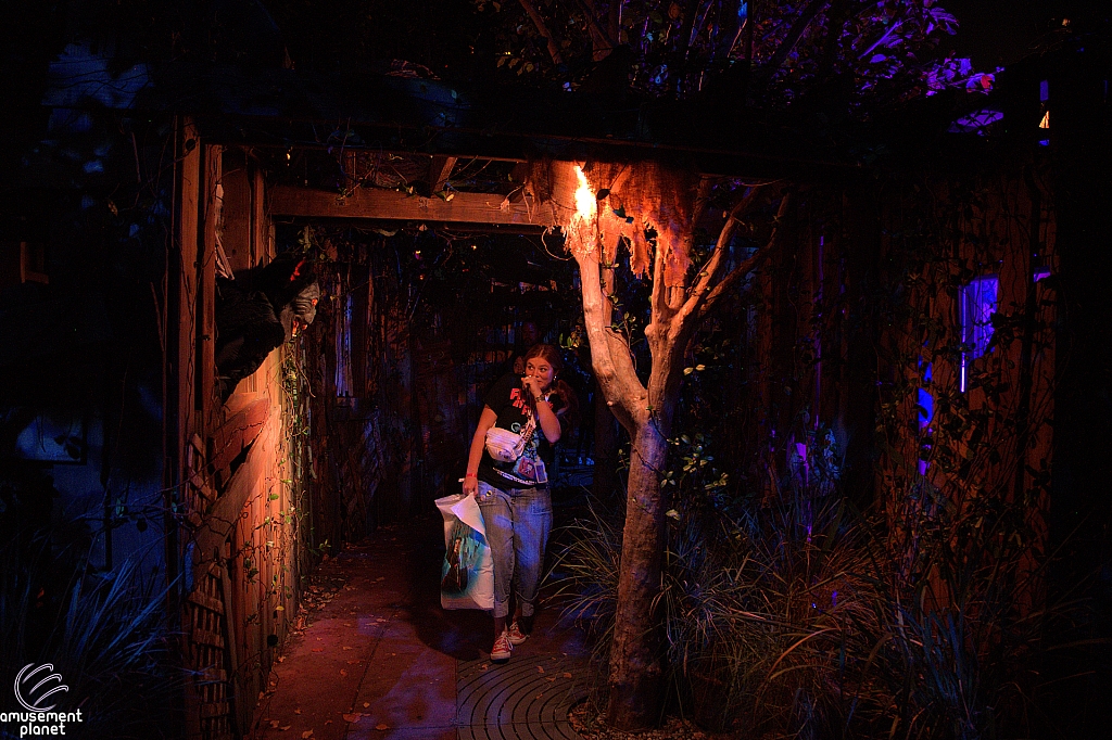 Halloween Horror Nights 2025