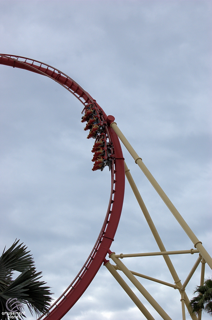 Hollywood Rip, Ride, Rockit