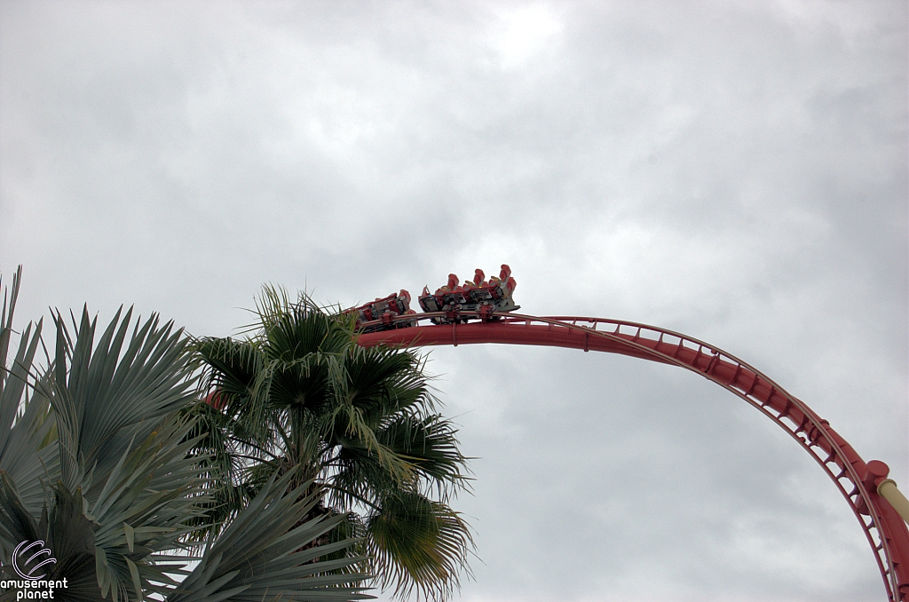 Hollywood Rip, Ride, Rockit