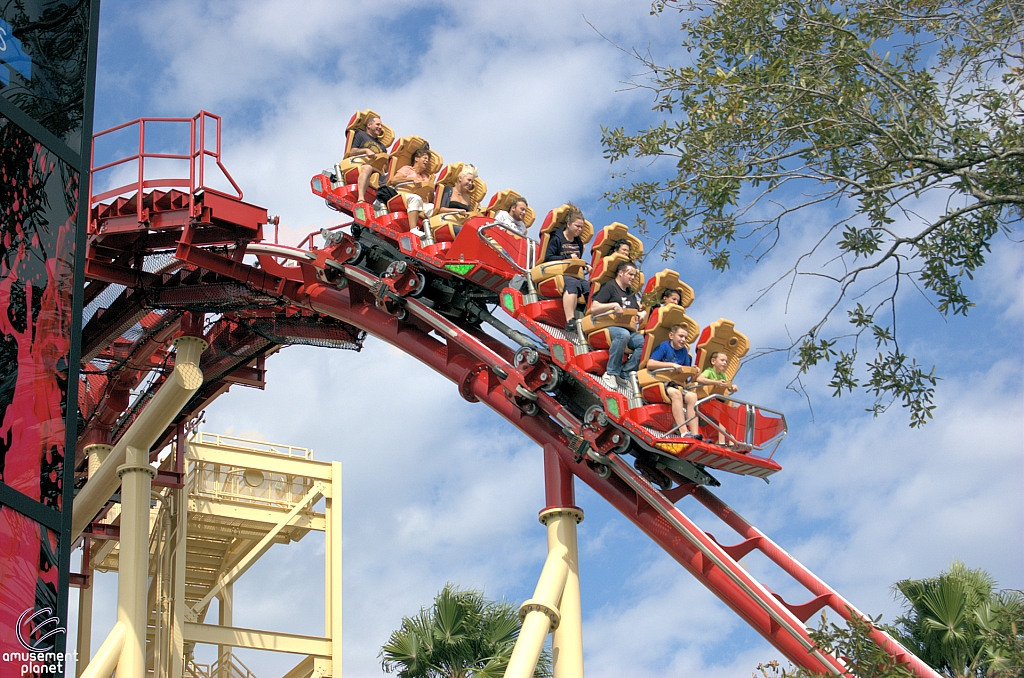 Hollywood Rip, Ride, Rockit