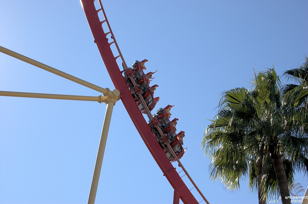 Hollywood Rip, Ride, Rockit