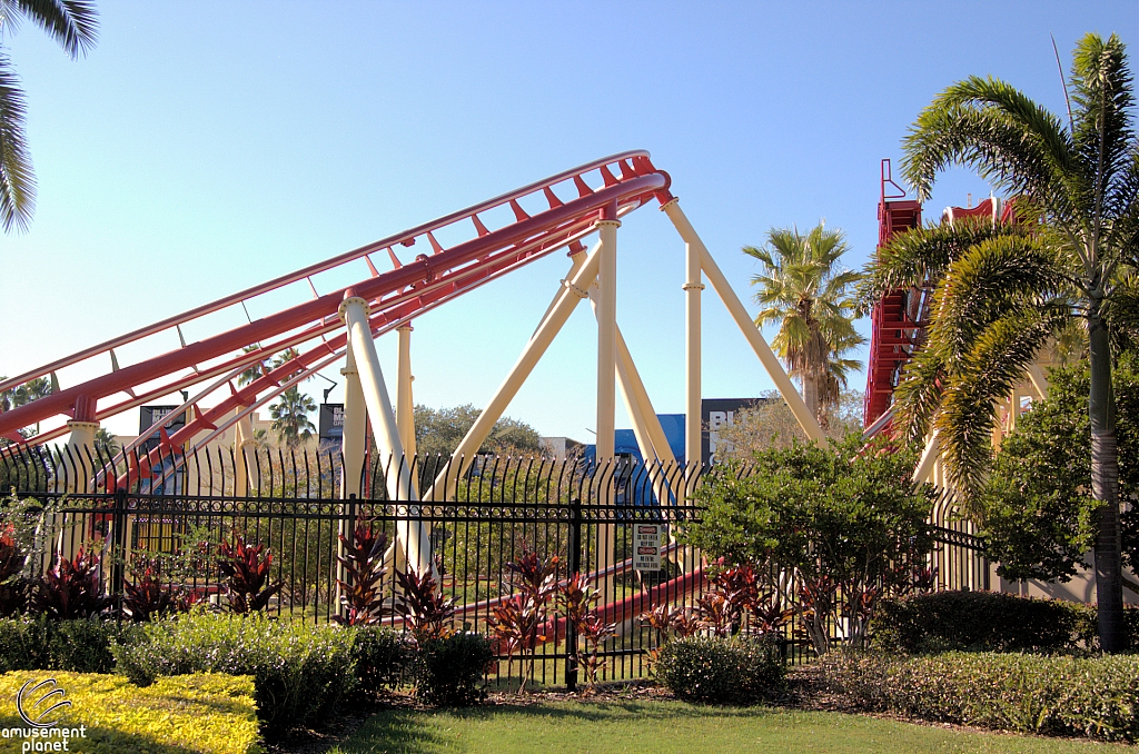 Hollywood Rip, Ride, Rockit