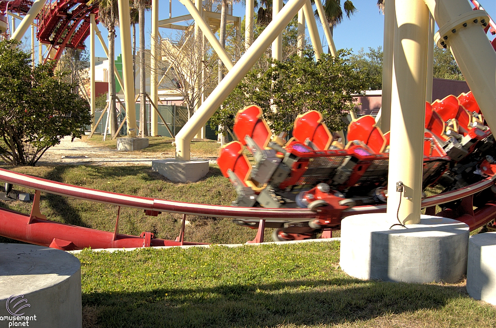 Hollywood Rip, Ride, Rockit