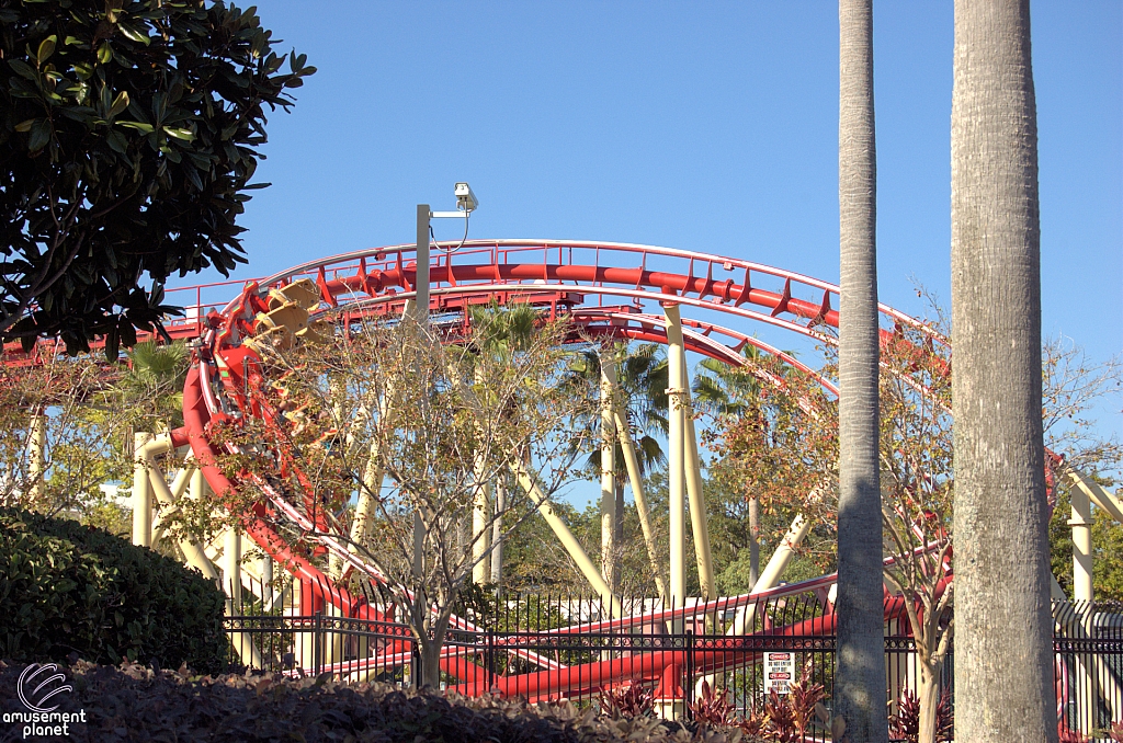 Hollywood Rip, Ride, Rockit