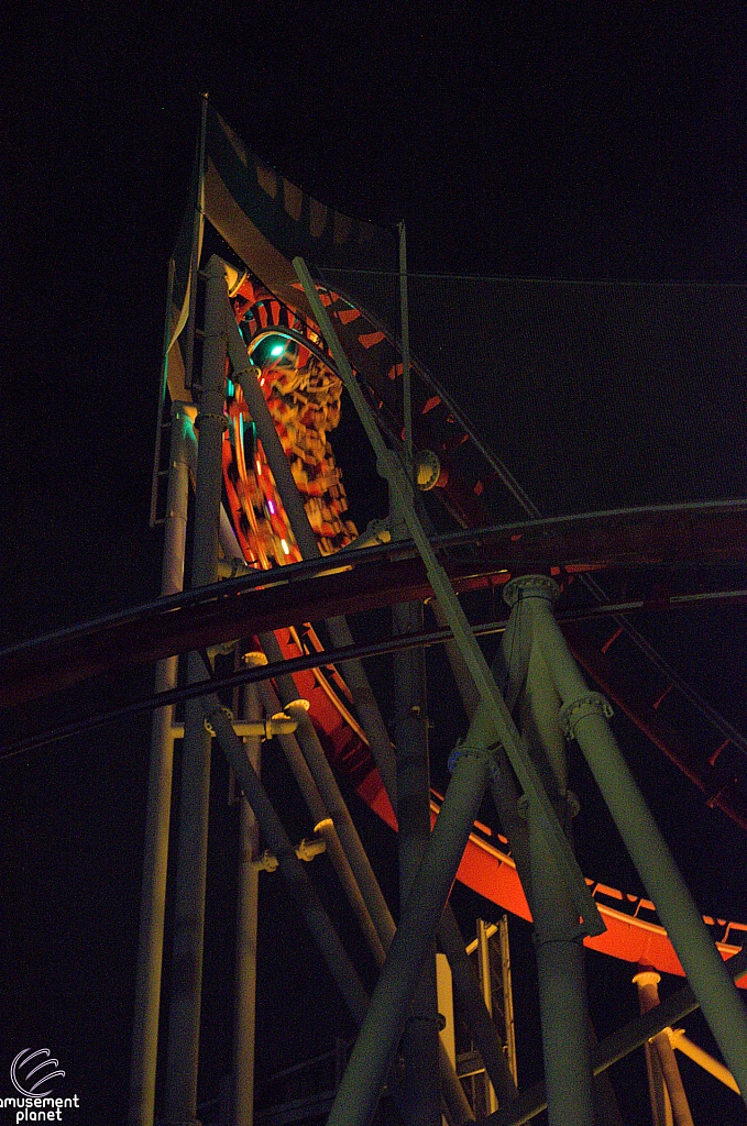 Hollywood Rip, Ride, Rockit