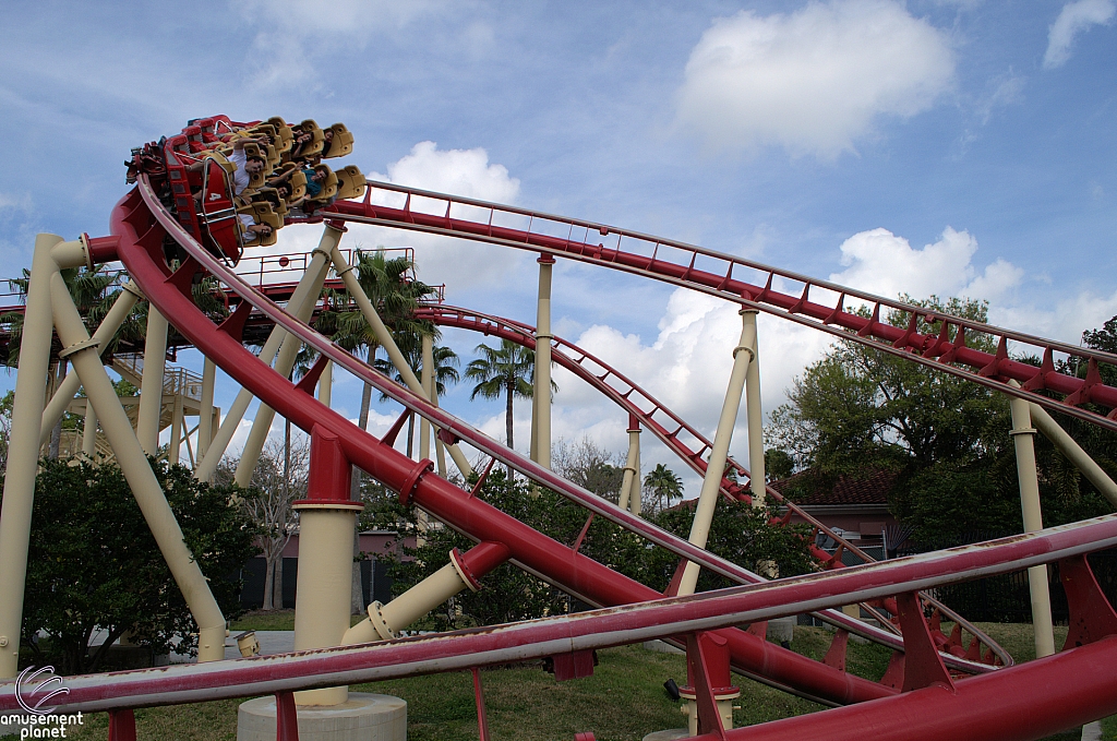 Hollywood Rip, Ride, Rockit