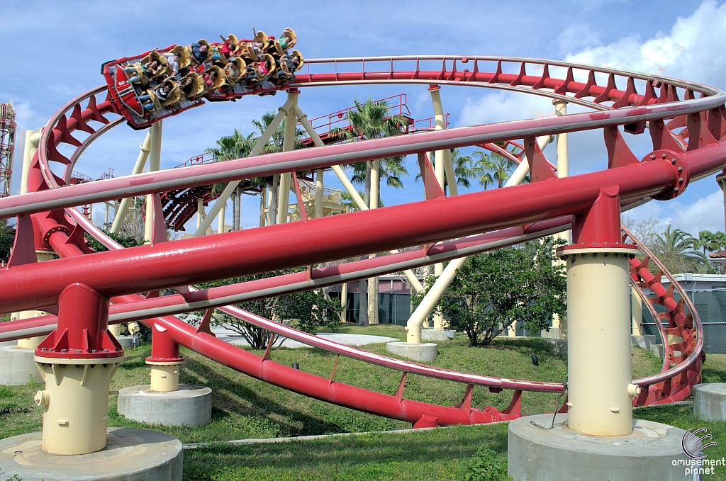 Hollywood Rip, Ride, Rockit