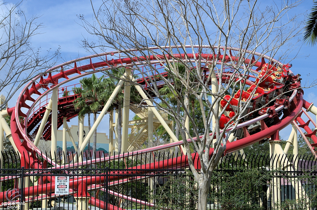 Hollywood Rip, Ride, Rockit