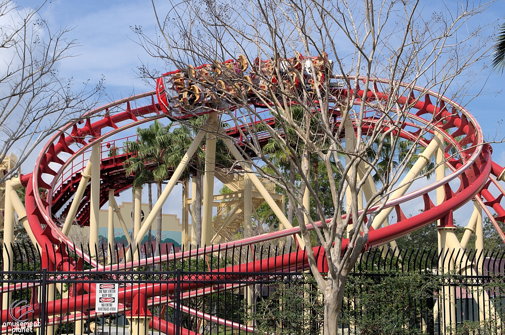 Hollywood Rip, Ride, Rockit