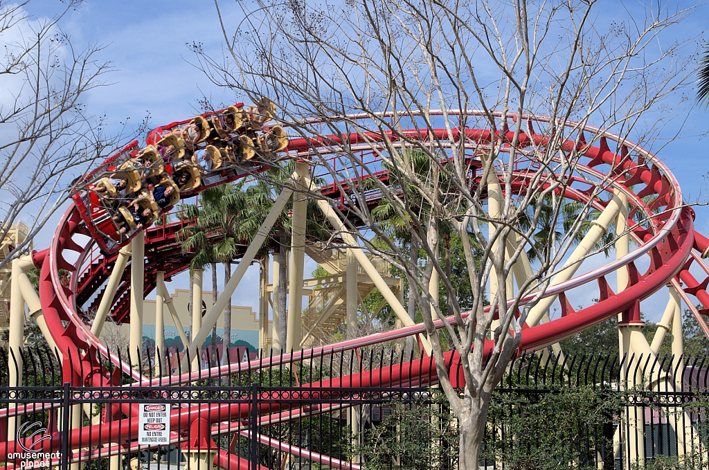 Hollywood Rip, Ride, Rockit