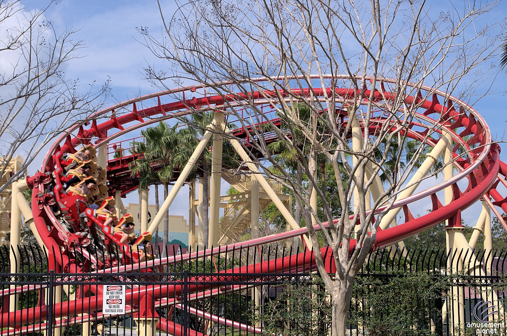 Hollywood Rip, Ride, Rockit