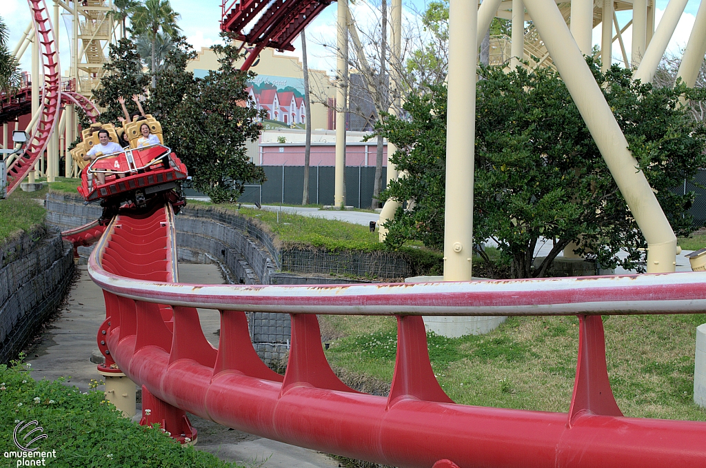 Hollywood Rip, Ride, Rockit
