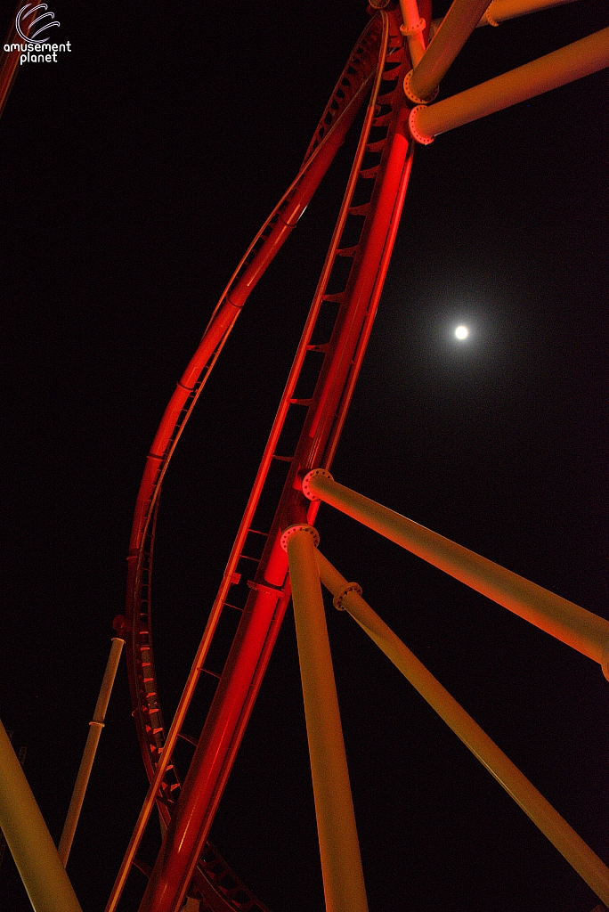 Hollywood Rip, Ride, Rockit