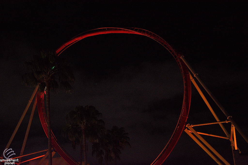 Hollywood Rip, Ride, Rockit