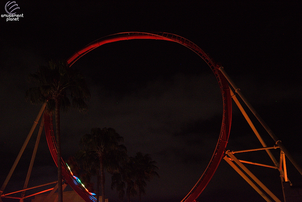 Hollywood Rip, Ride, Rockit