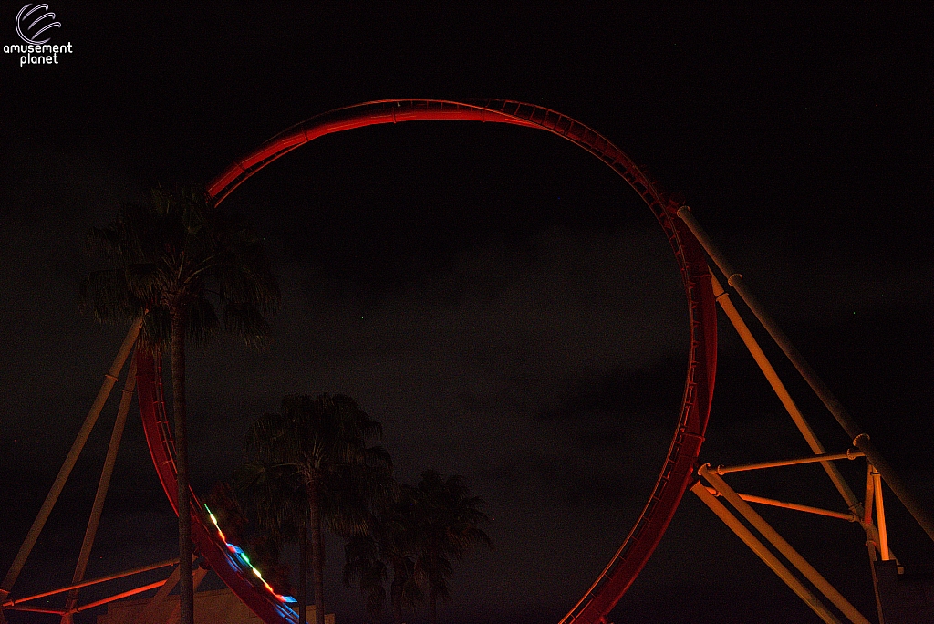 Hollywood Rip, Ride, Rockit