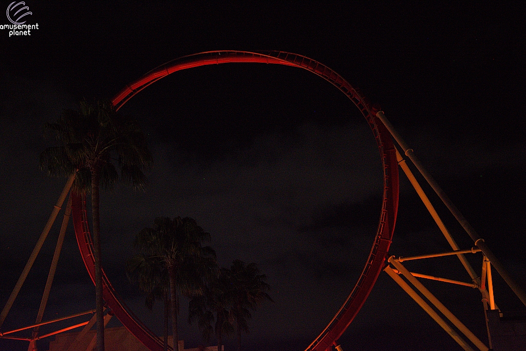 Hollywood Rip, Ride, Rockit