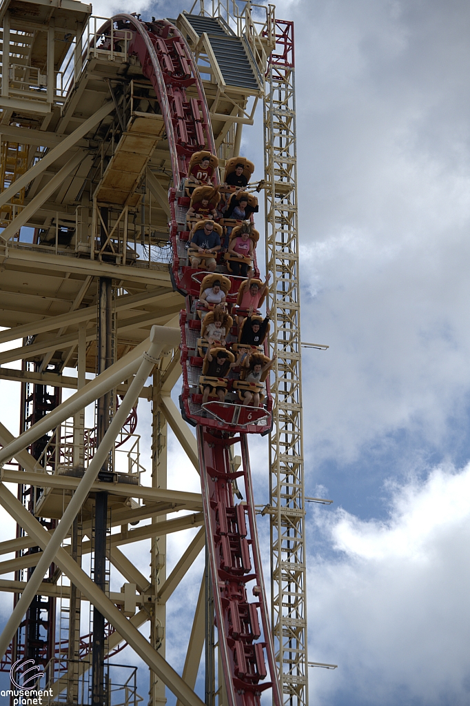 Hollywood Rip, Ride, Rockit