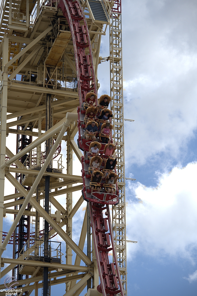 Hollywood Rip, Ride, Rockit