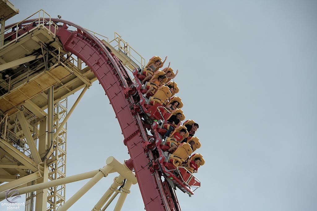 Hollywood Rip, Ride, Rockit