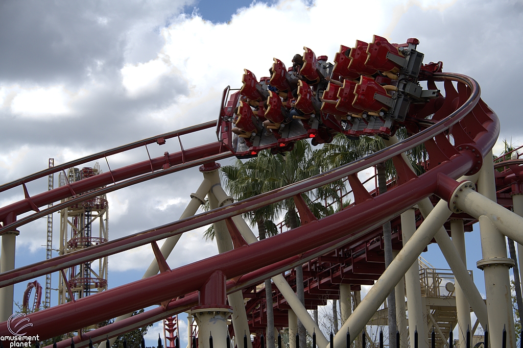 Hollywood Rip, Ride, Rockit