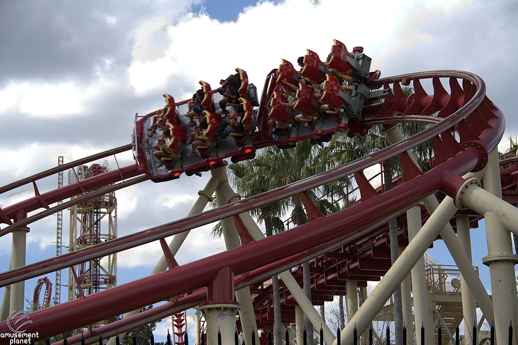Hollywood Rip, Ride, Rockit