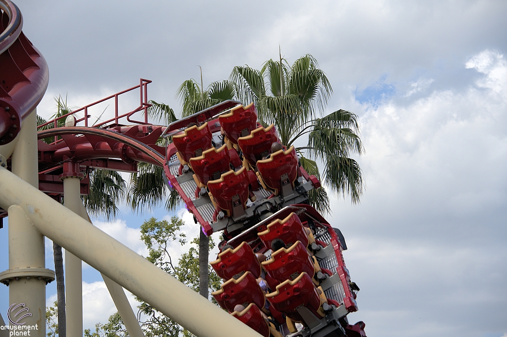 Hollywood Rip, Ride, Rockit