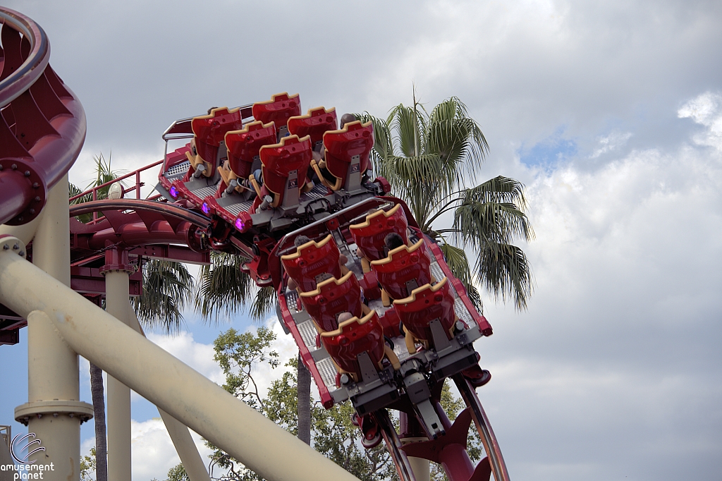 Hollywood Rip, Ride, Rockit
