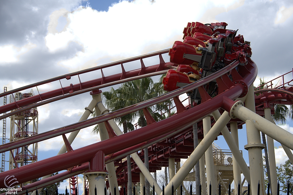 Hollywood Rip, Ride, Rockit