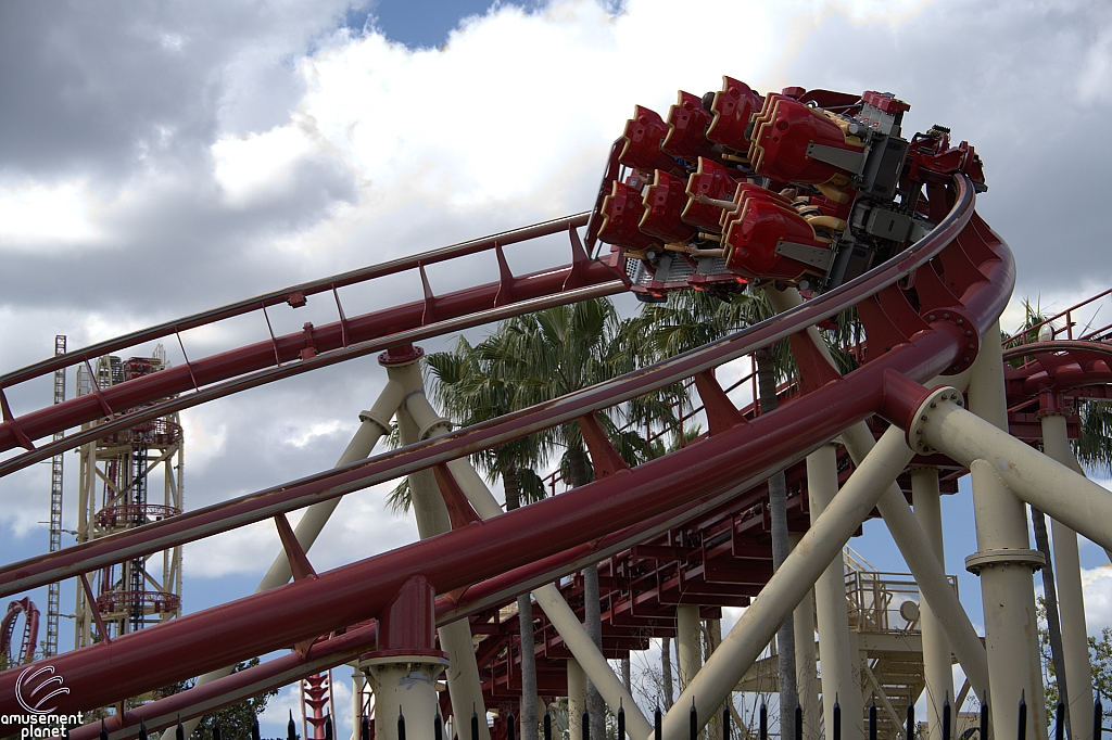 Hollywood Rip, Ride, Rockit