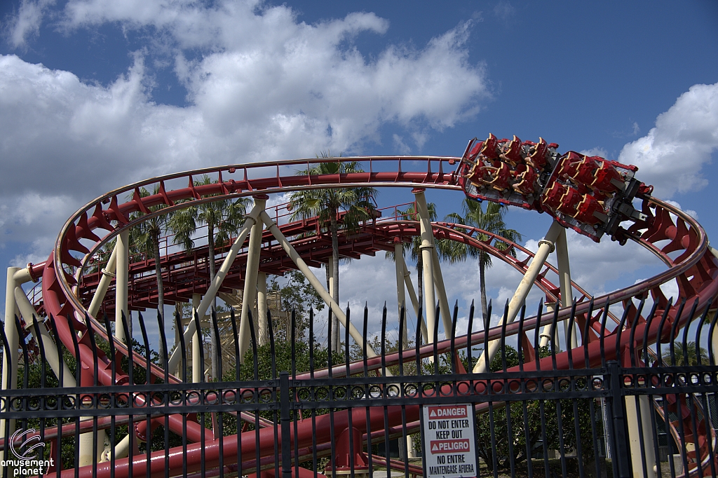 Hollywood Rip, Ride, Rockit